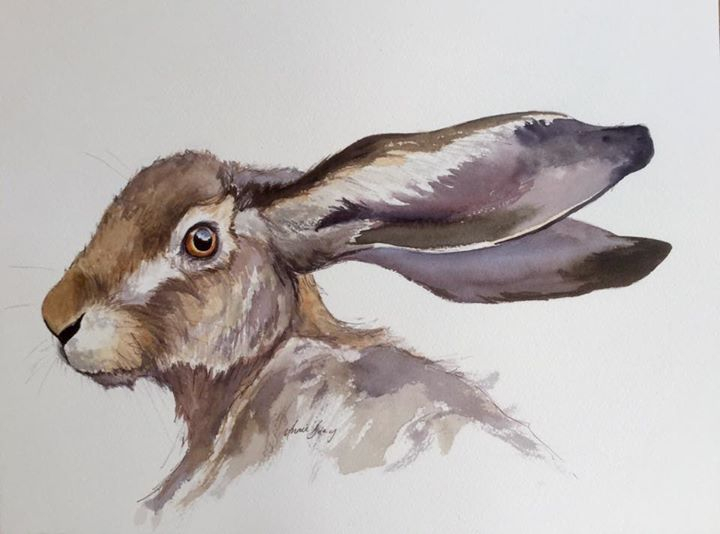 Hare watercolour