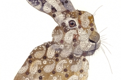 Paisley Hare III